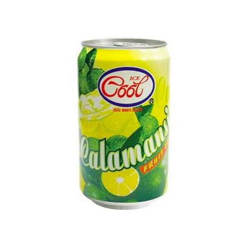 Yakin 100 Plus Active 325ml 24 Can